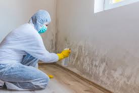 Best Commercial Mold Inspection  in Howard, WI