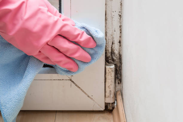 Best Real Estate Mold Inspection  in Howard, WI