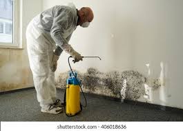 Best Emergency Mold Remediation  in Howard, WI